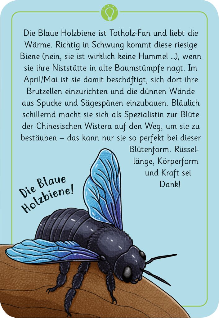 Expedition Natur 50 wundersame Tierrätsel: Insekten