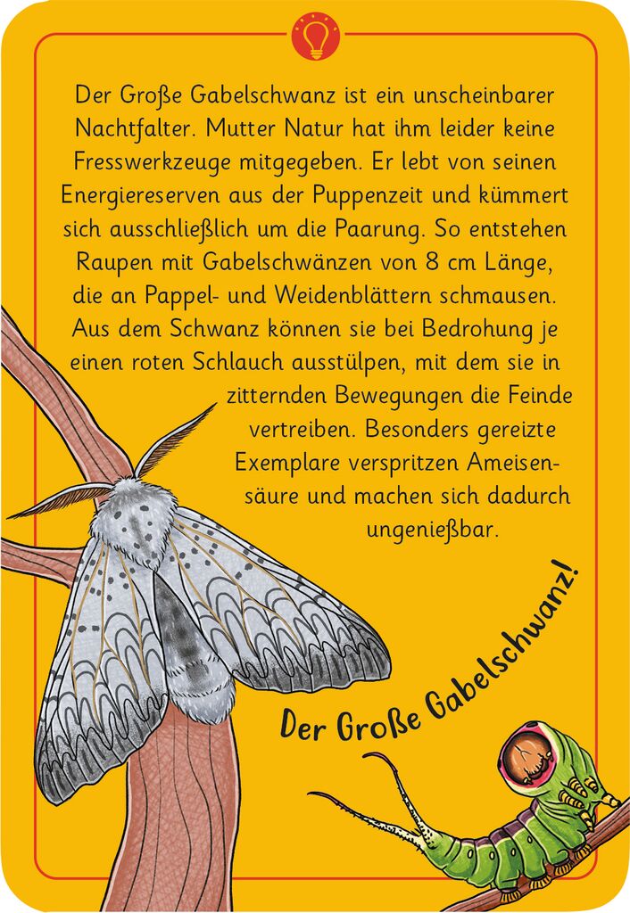 Expedition Natur 50 wundersame Tierrätsel: Insekten