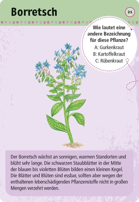 Expedition Natur - 50 essbare Wildpflanzen