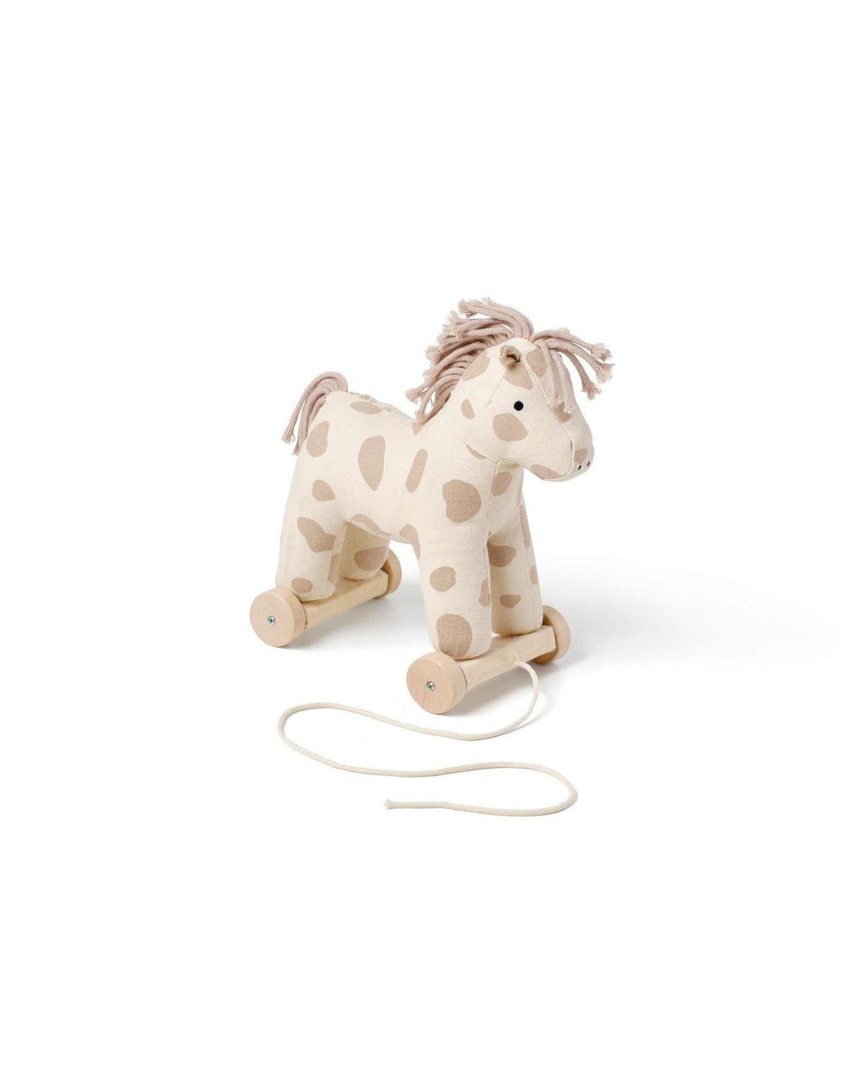 Nachziehtier Pferd Dotty