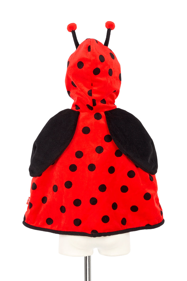 Marienkäfer Layla, 2 Jahre