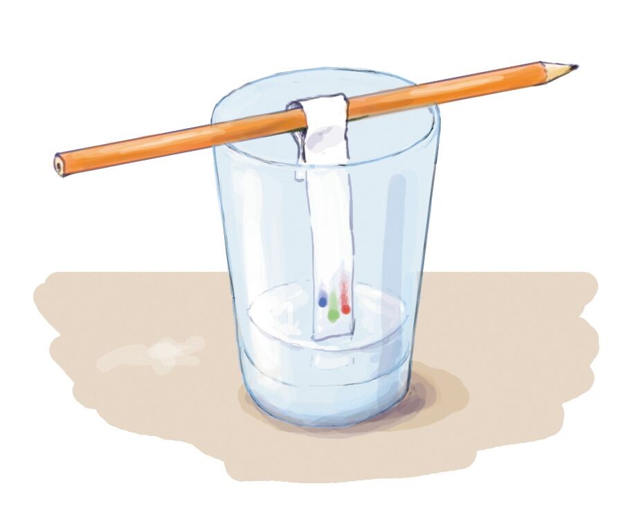 PhänoMint Outdoor-Experimente