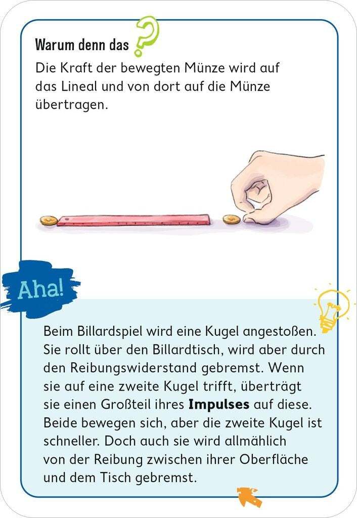 PhänoMint Outdoor-Experimente