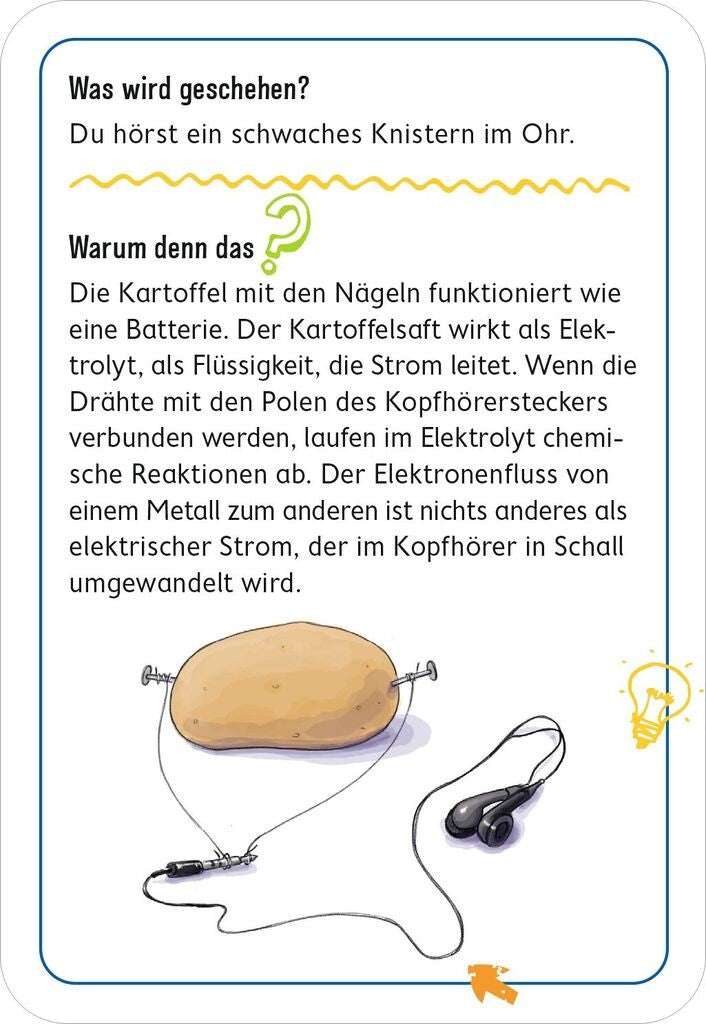 PhänoMint Outdoor-Experimente