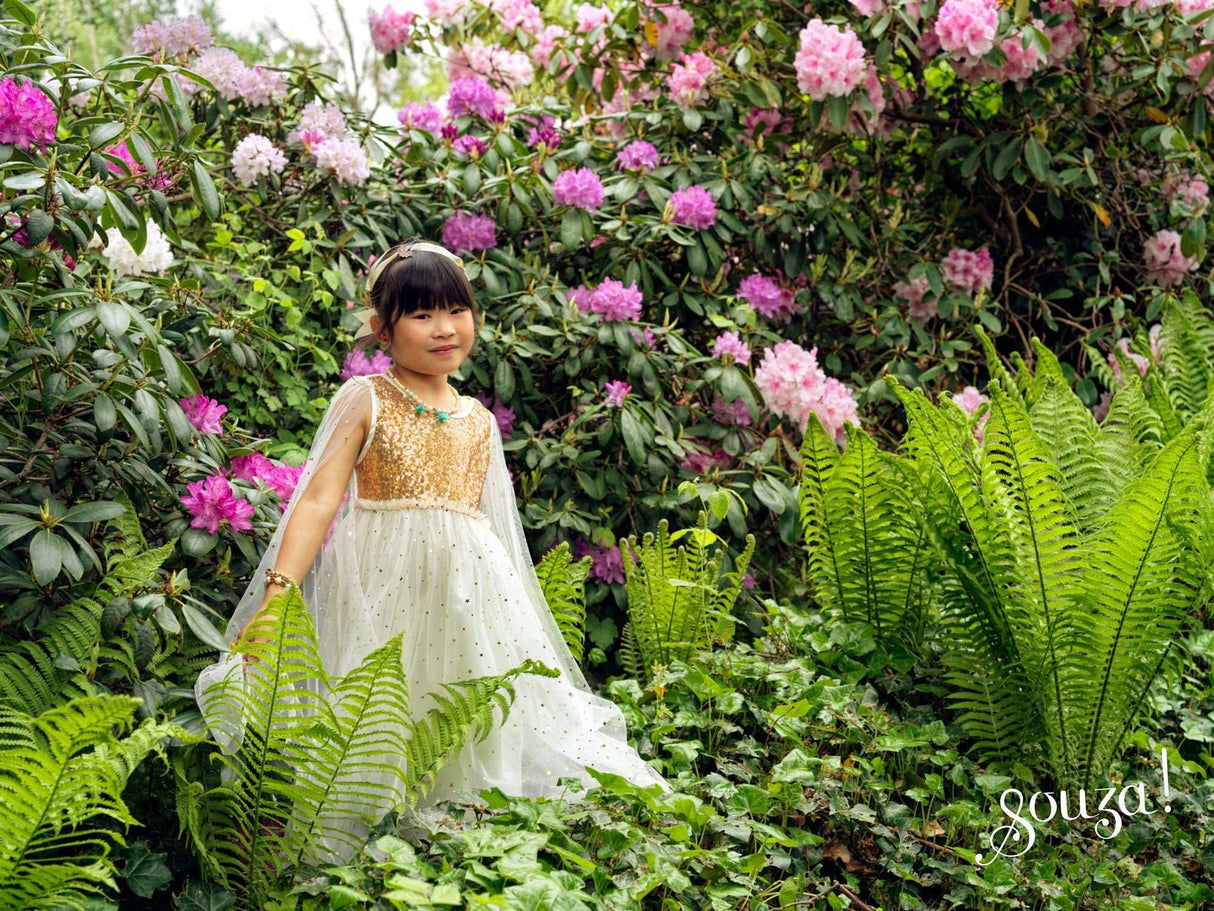 Prinzessin Kostüm Dorianne für 3-4 Jahre