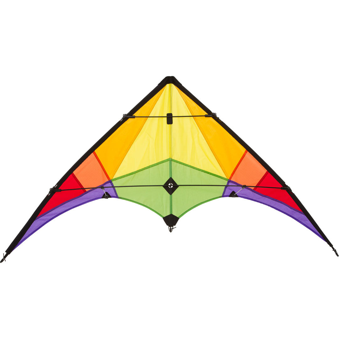 Drache Rookie Rainbow