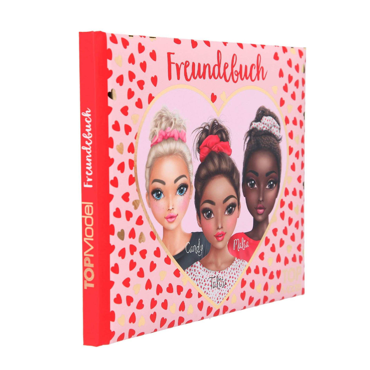 TOPModel Freundebuch