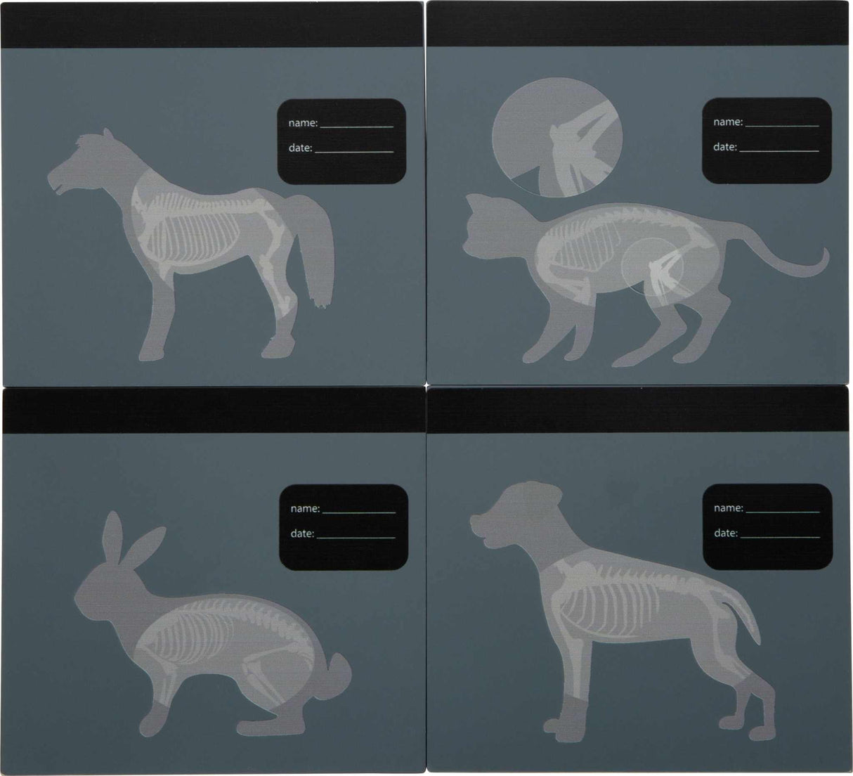 Tierarzt-Tasche mit Hase