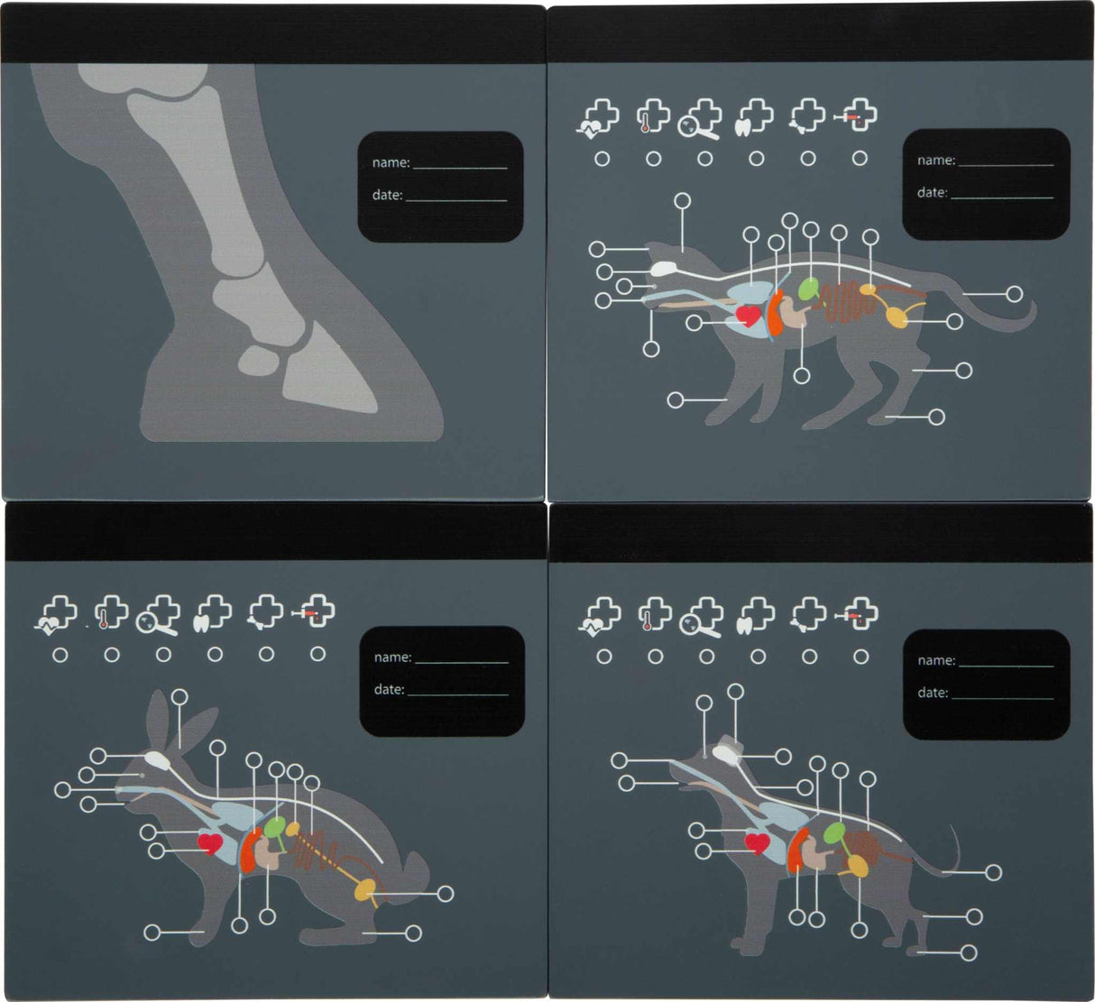Tierarzt-Tasche mit Hase