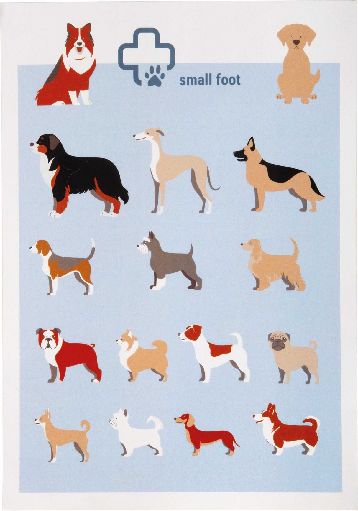 Tierarzt-Tasche mit Hase