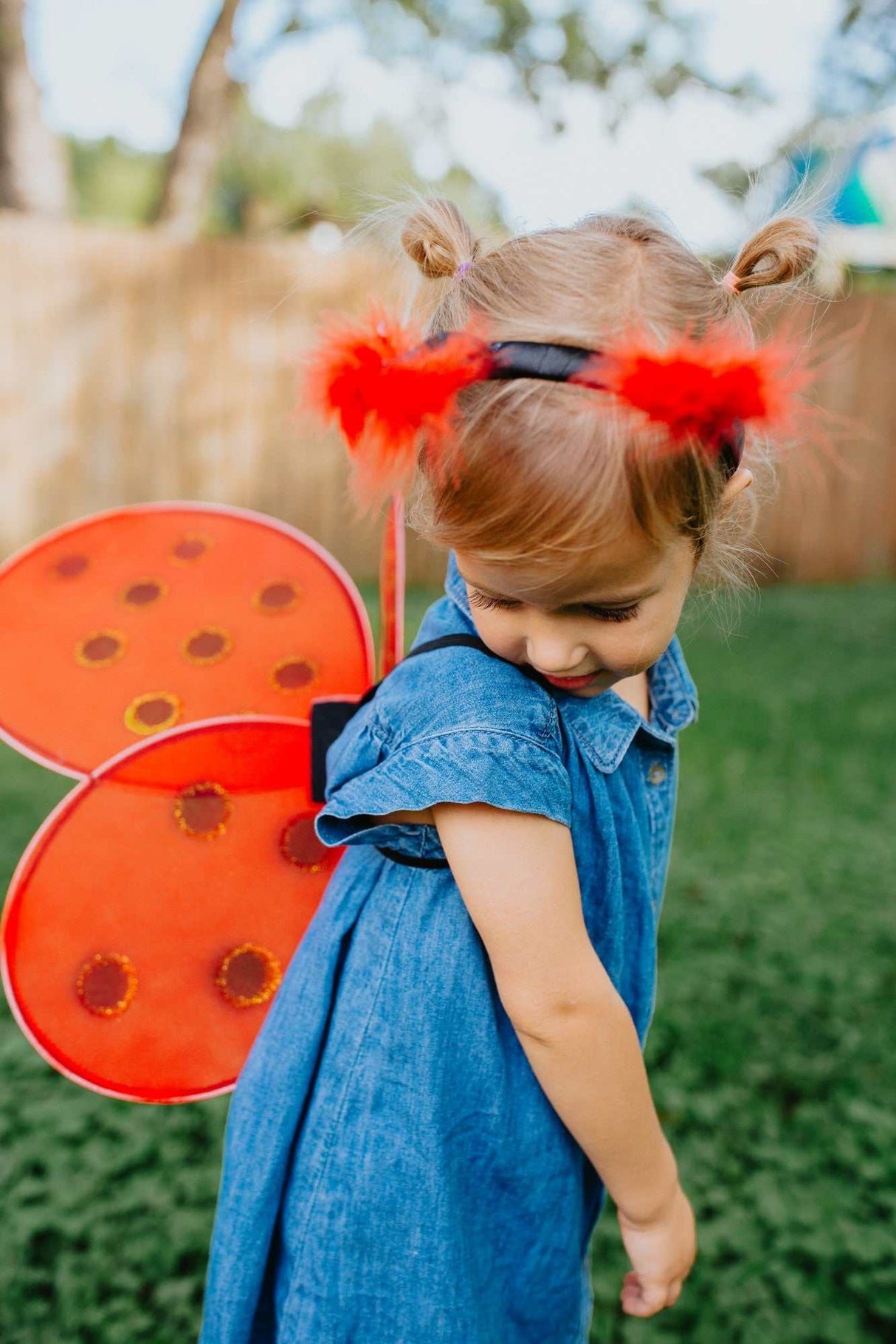 Marienkäferflügel & Haarreif