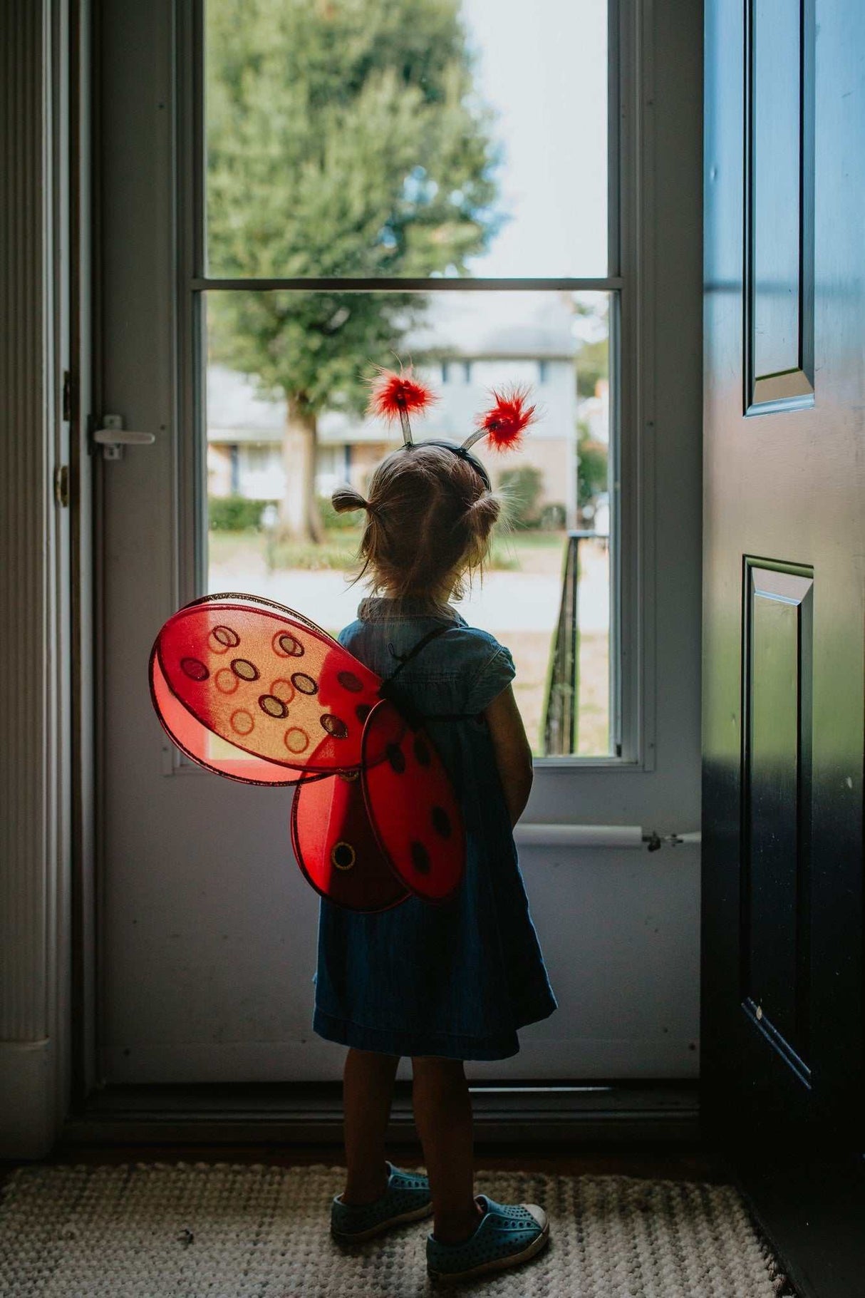 Marienkäferflügel & Haarreif