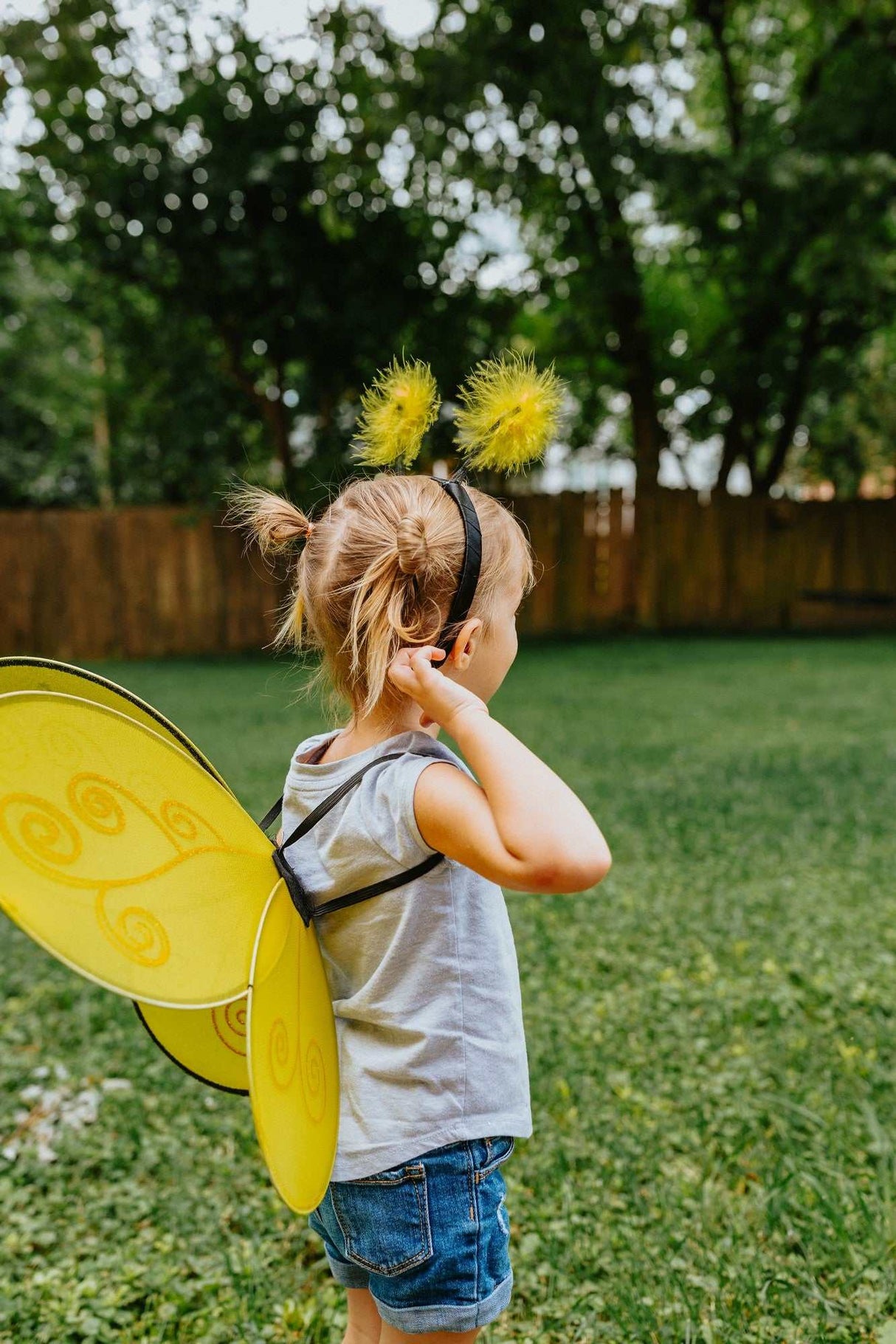 Bienenflügel & Haarreif