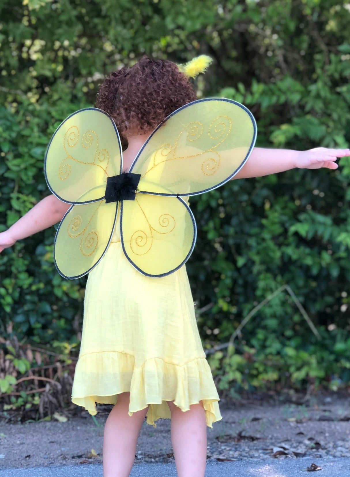 Bienenflügel & Haarreif