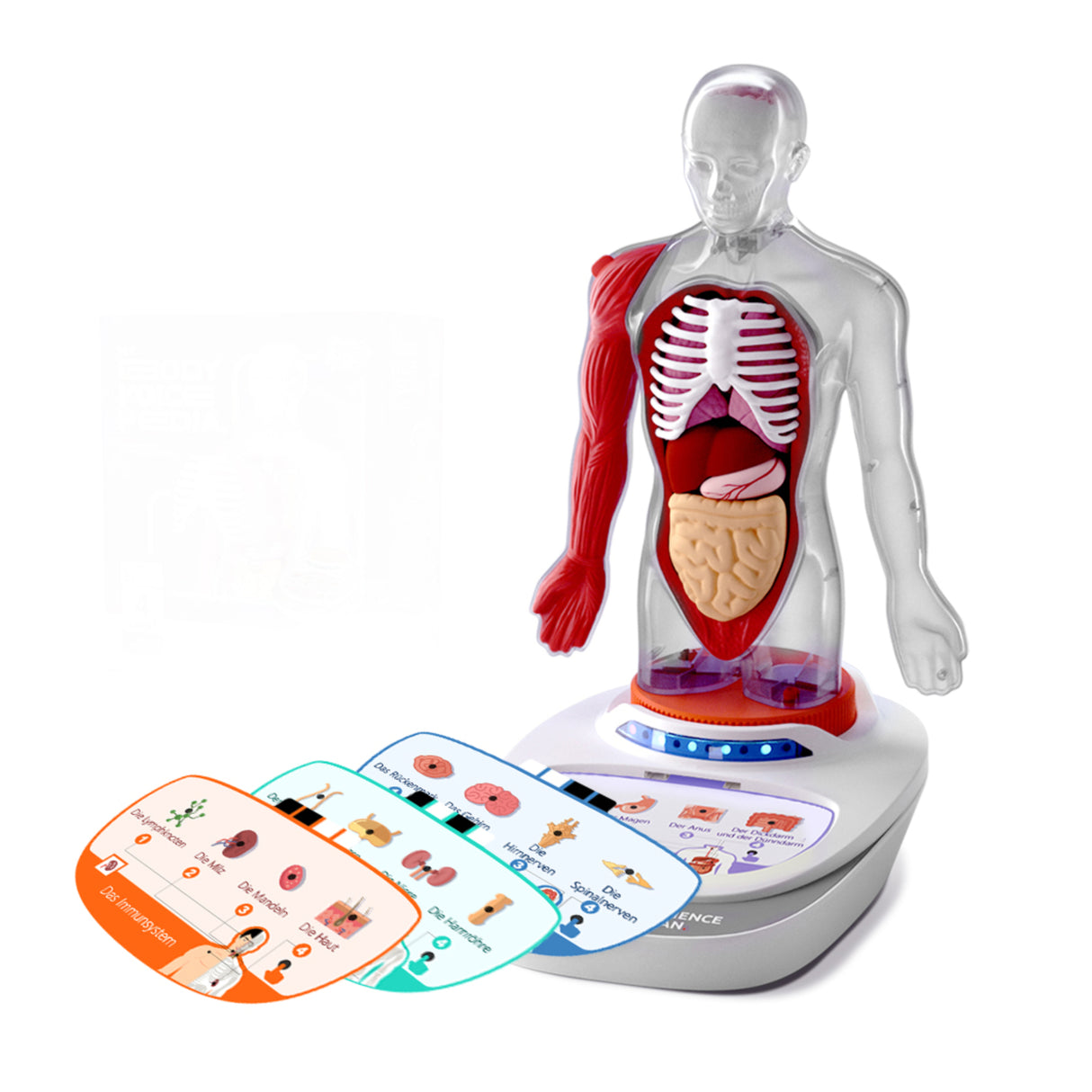 Mein Körper - eine Wissensreise mit Quiz und Sound