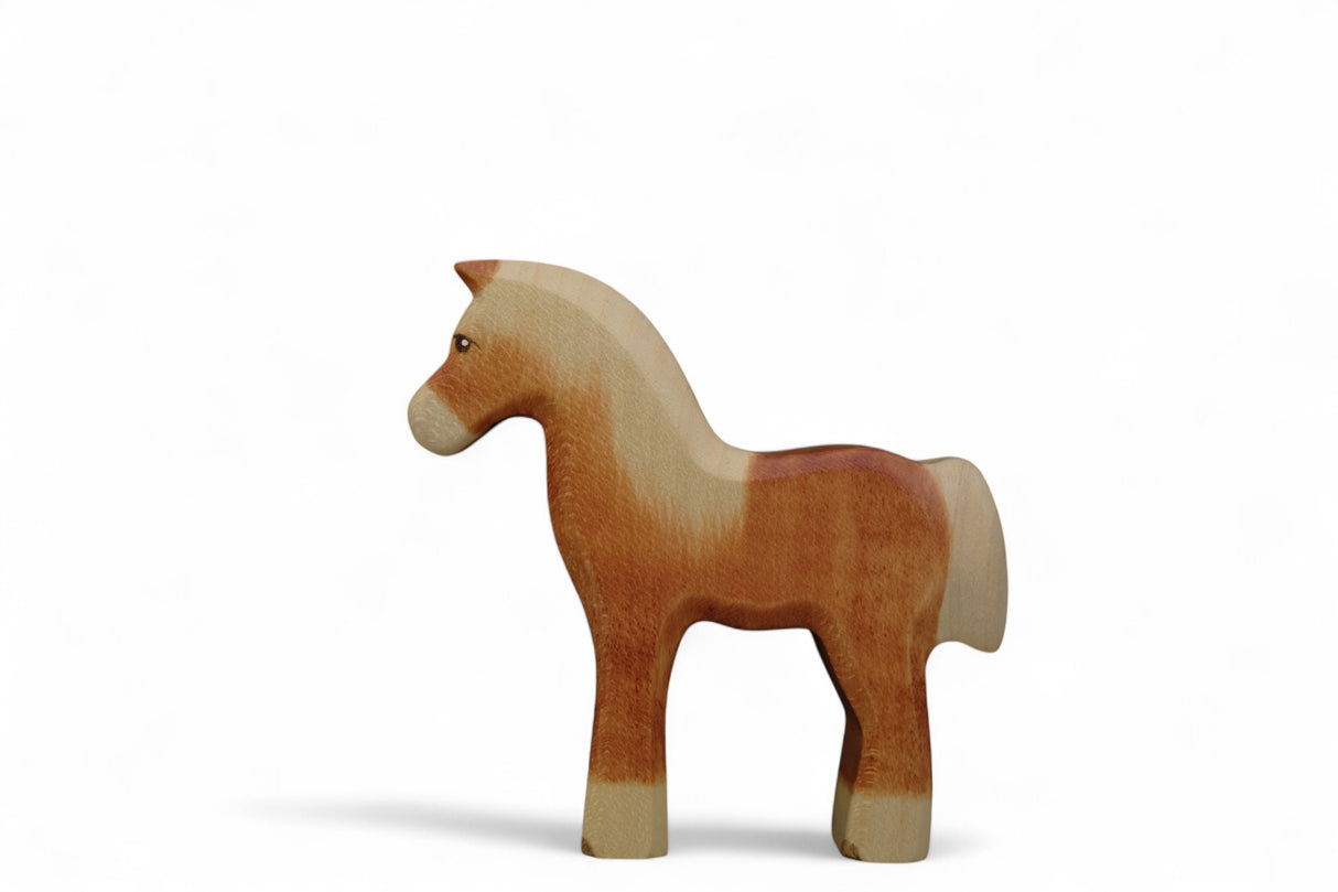 Haflinger Fohlen