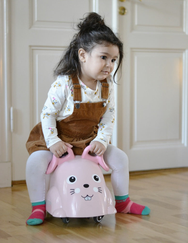 Cute Rider Hase