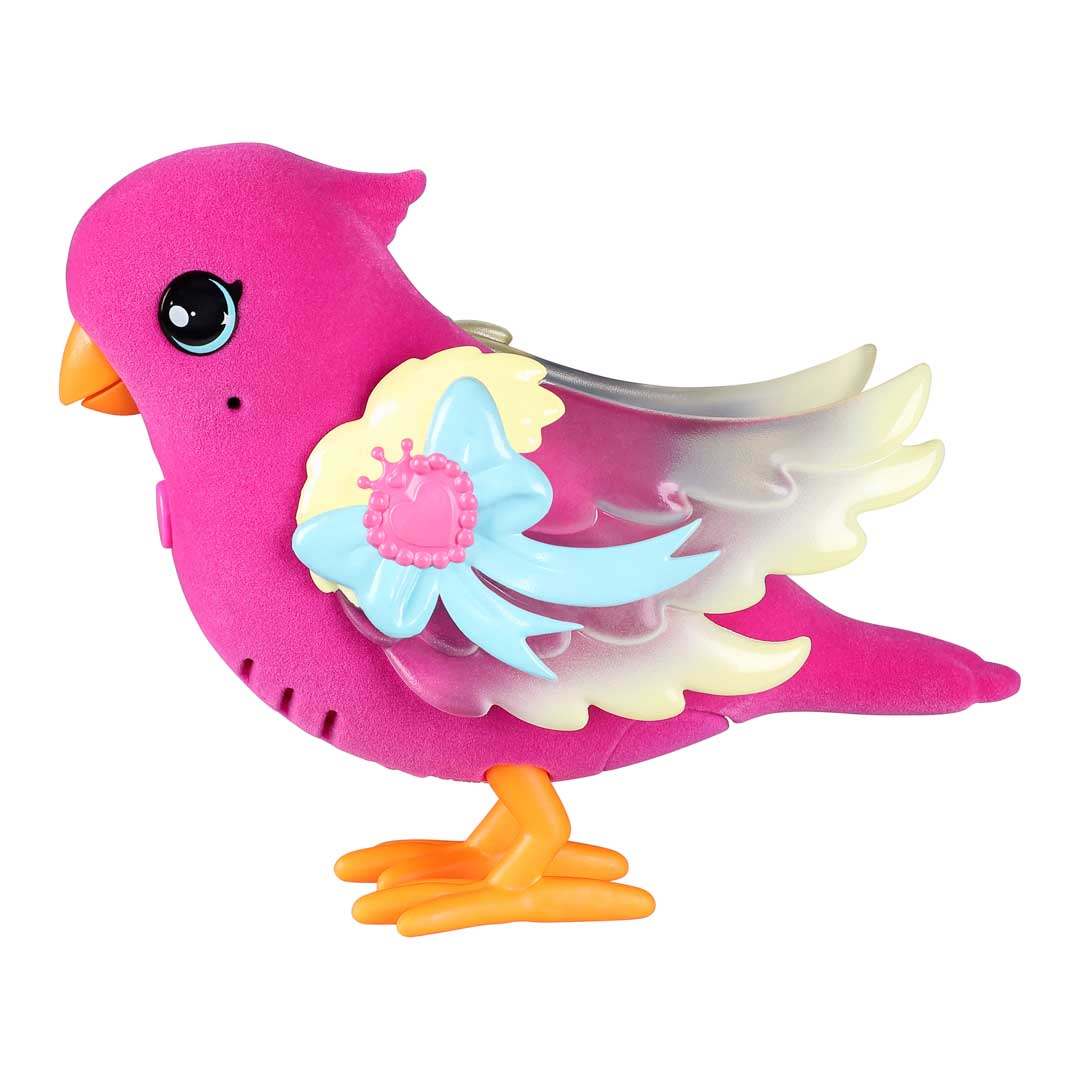 Little Bird