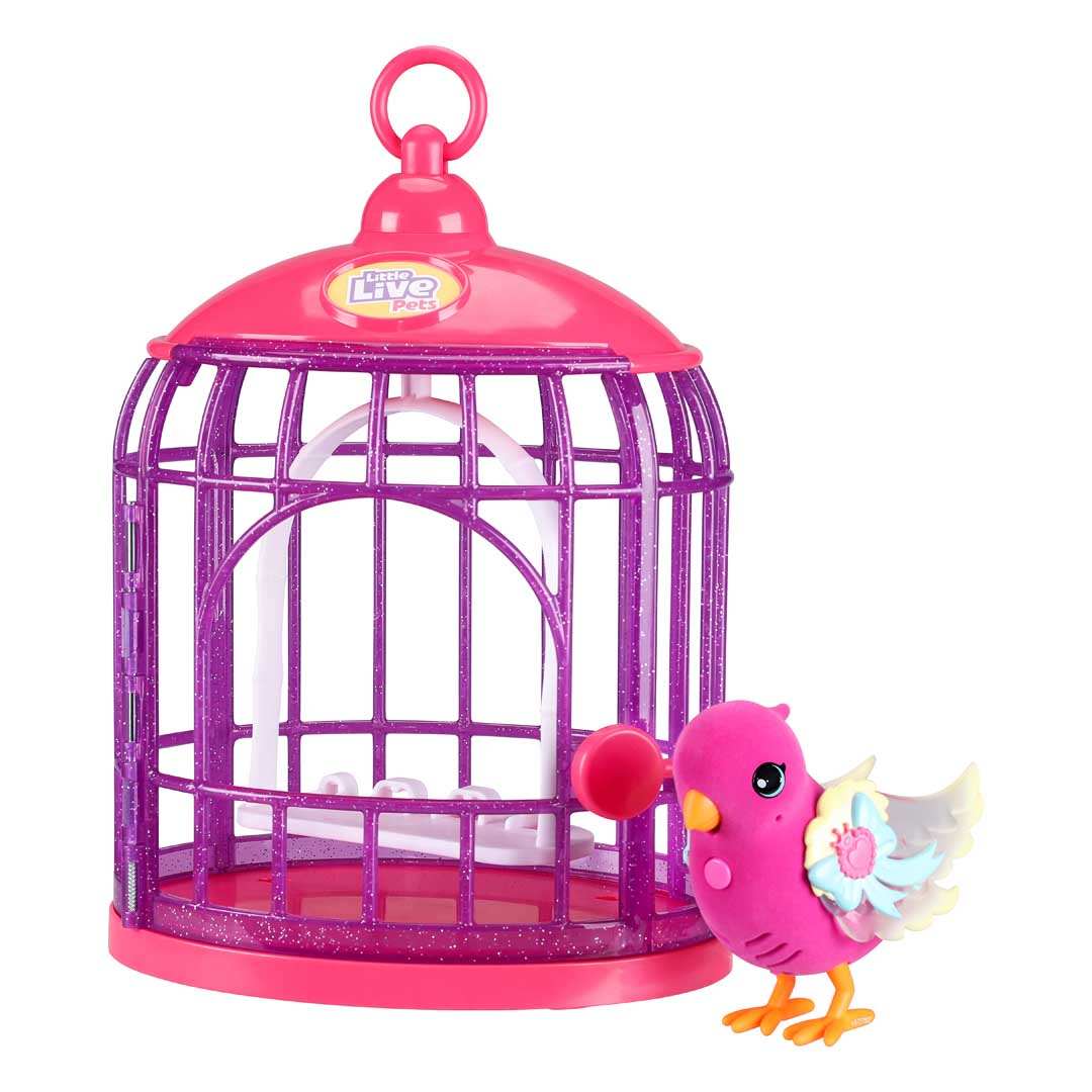 Little Bird