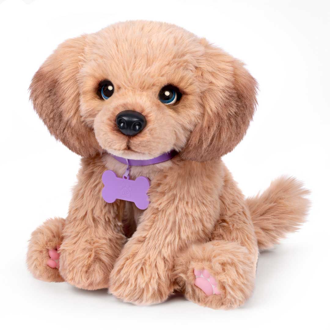 My Really Real Puppy Dachshund