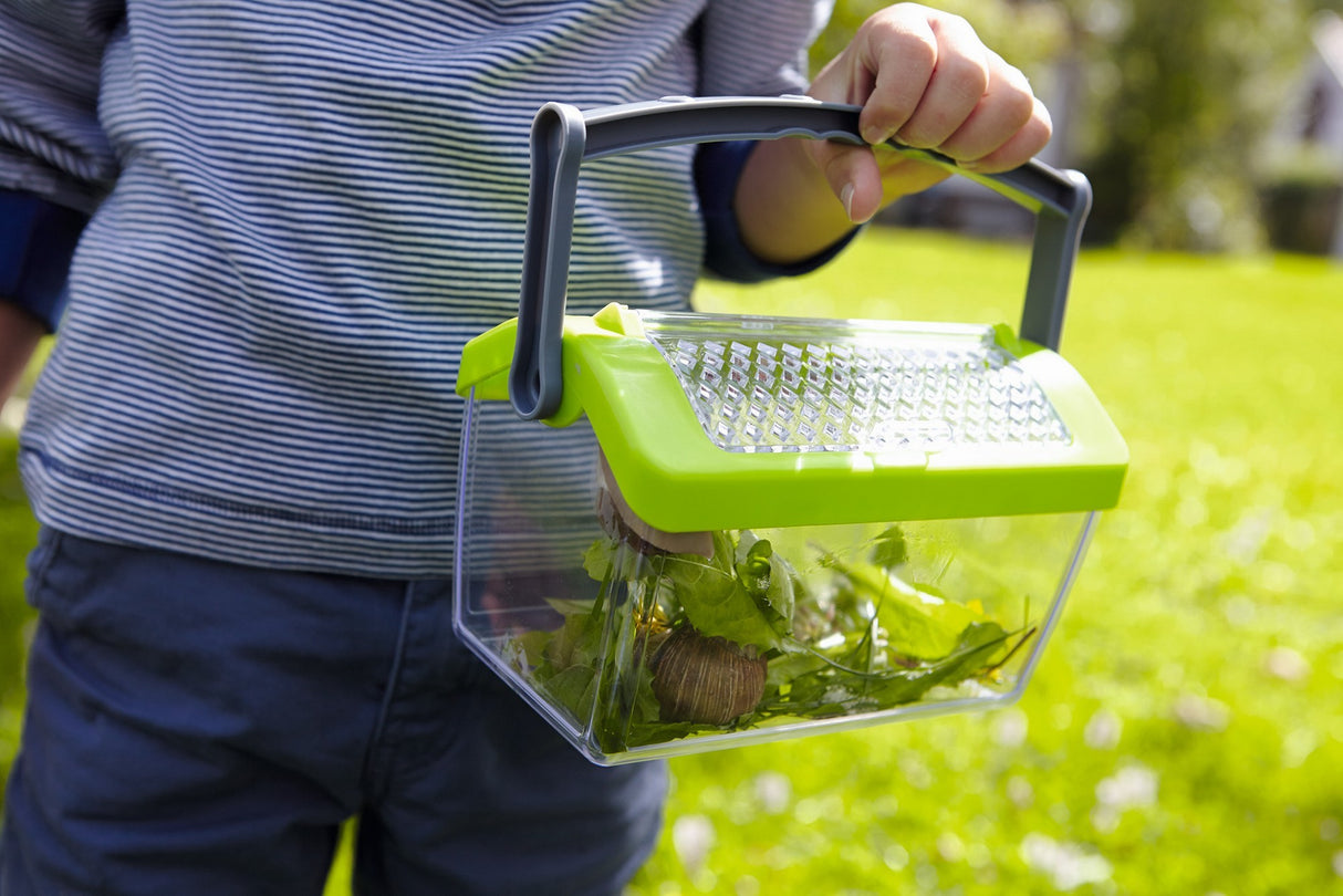 Insektenbox