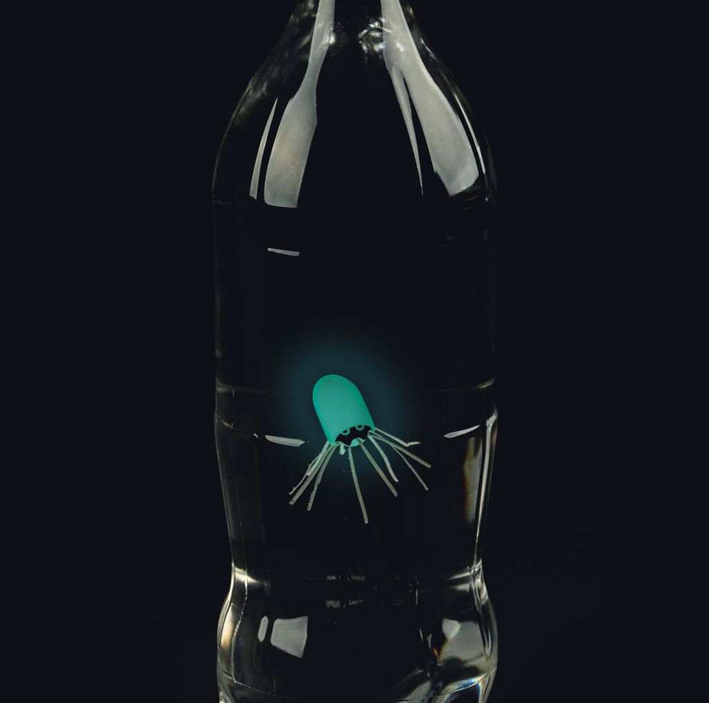 PhänoMINT Nachtleuchtender Flaschentaucher