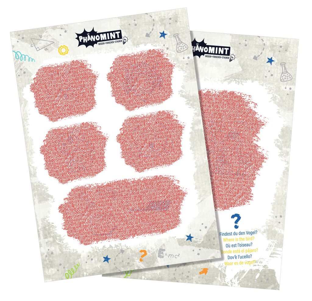 PhänoMINT Experimente mit Licht & Farben