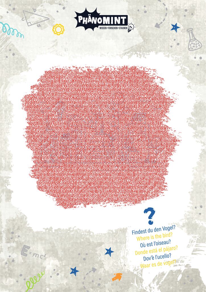 PhänoMINT Experimente mit Licht & Farben