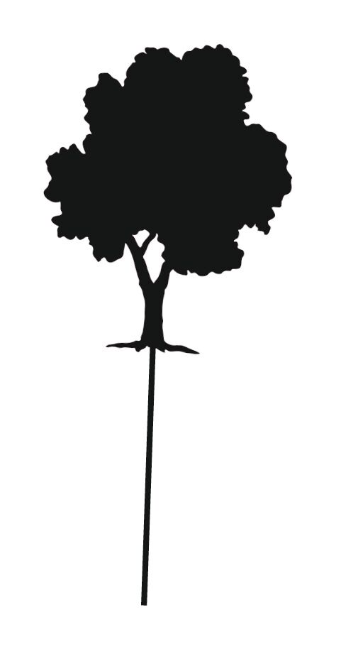 PhänoMINT Experimente mit Licht & Farben