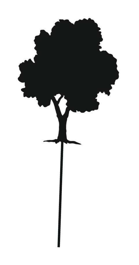 PhänoMINT Experimente mit Licht & Farben