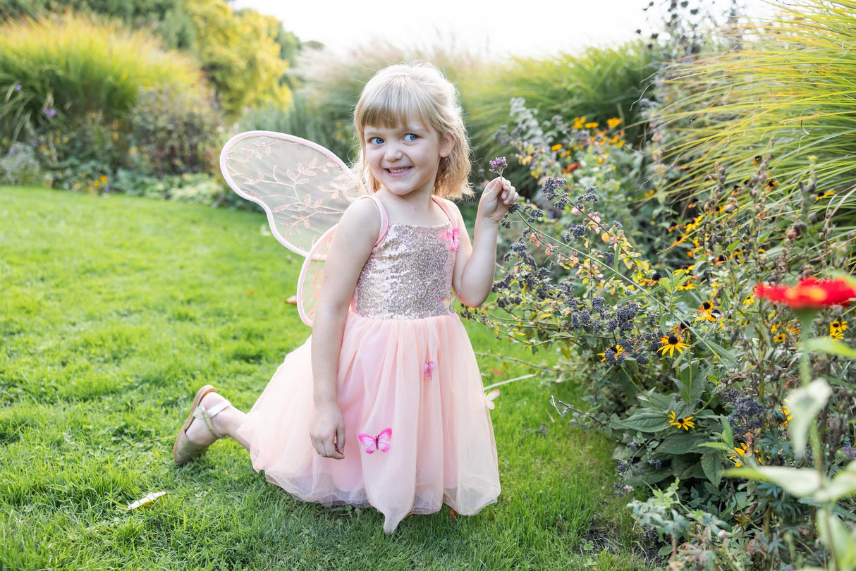 Schmetterlingskleid 5-6 Jahre