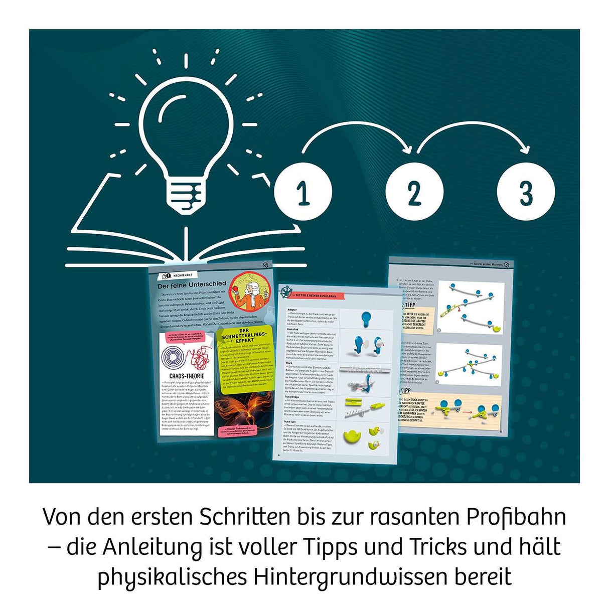 Gecko Run - Starter-Set