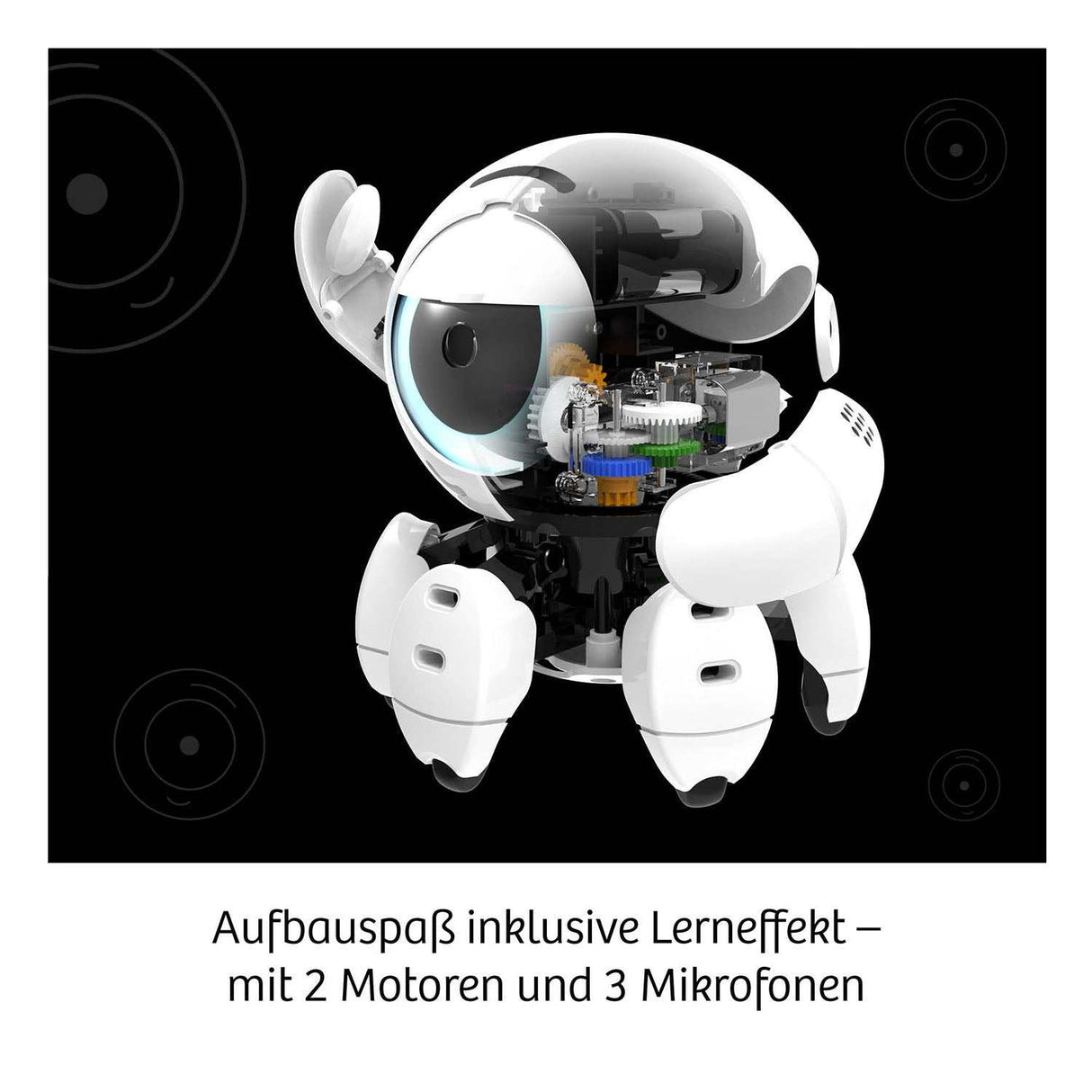 Bitsy - Dein cleverer Robo-Freund