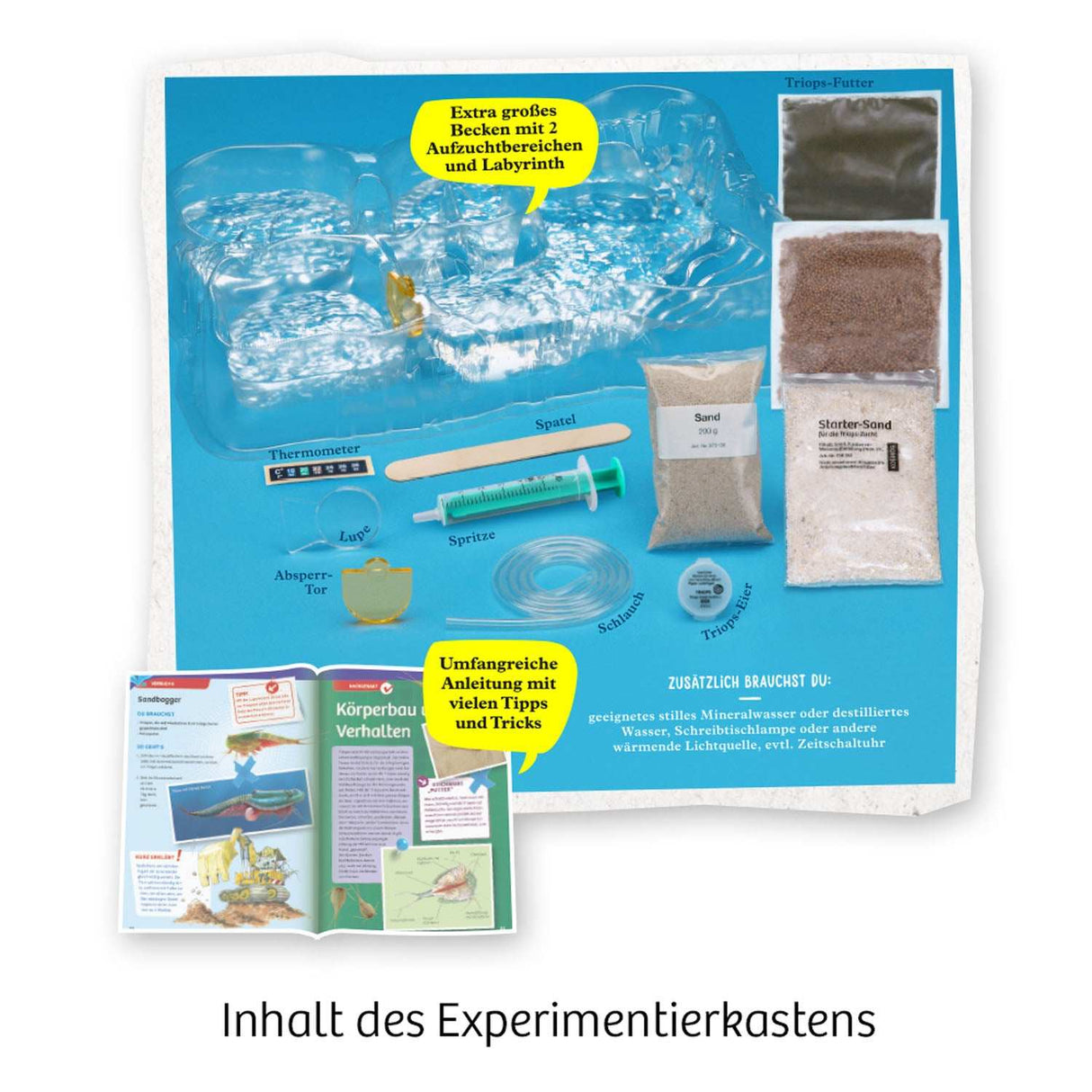 Triops-Welt