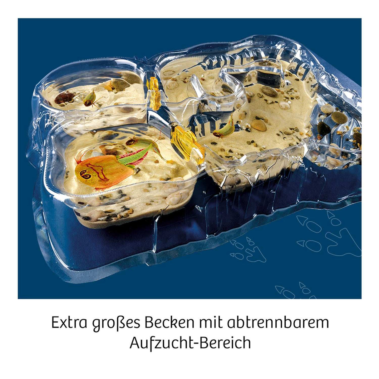 Triops-Welt