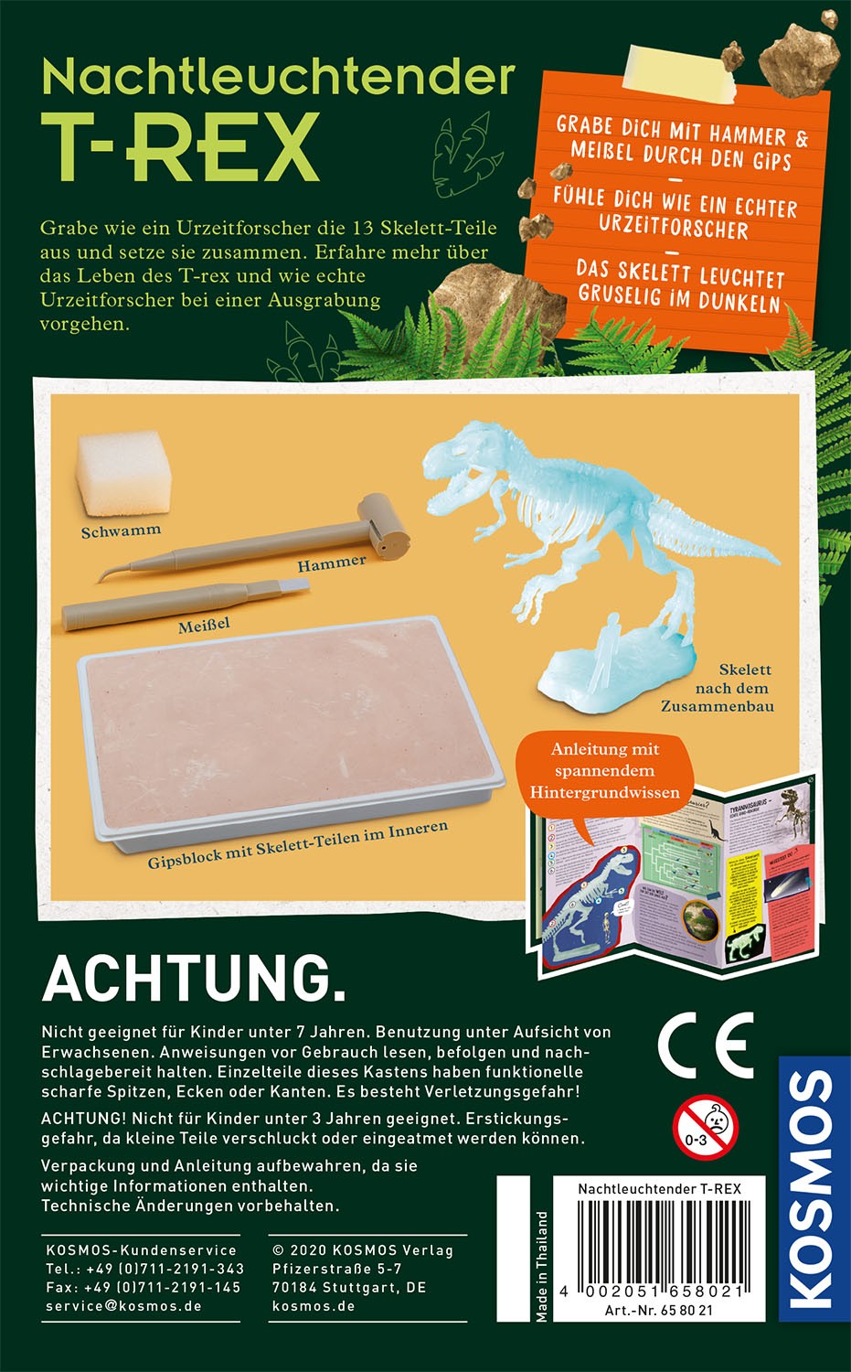 Nachtleuchtender T-REX