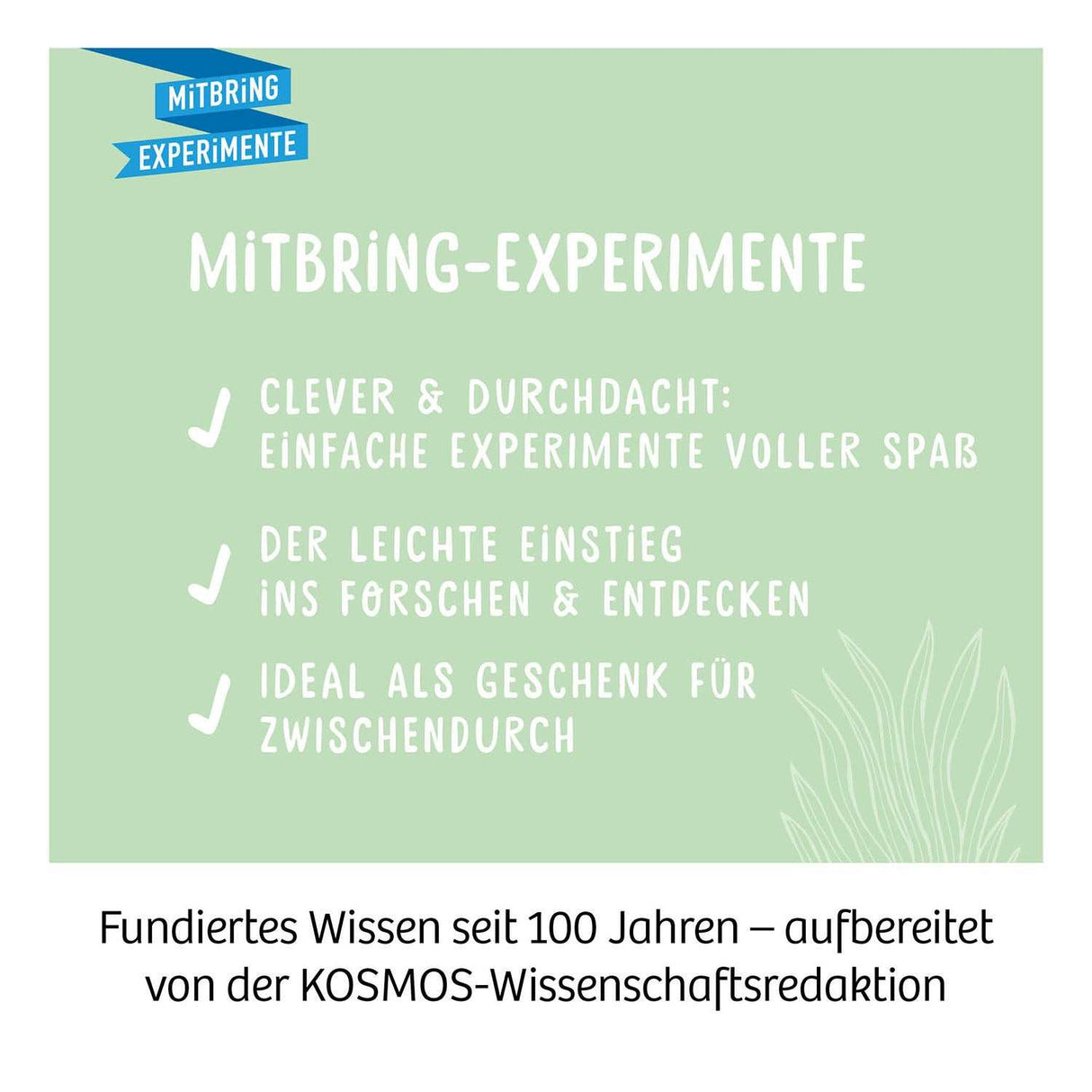 Kakteen-Wüste