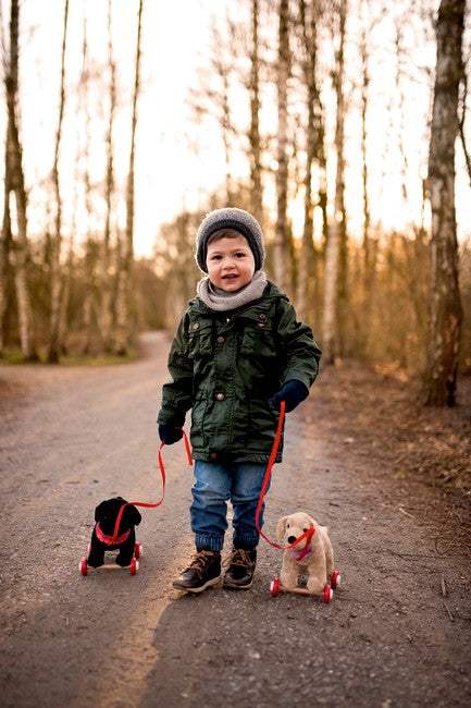Labrador Luzie auf Holzrollen