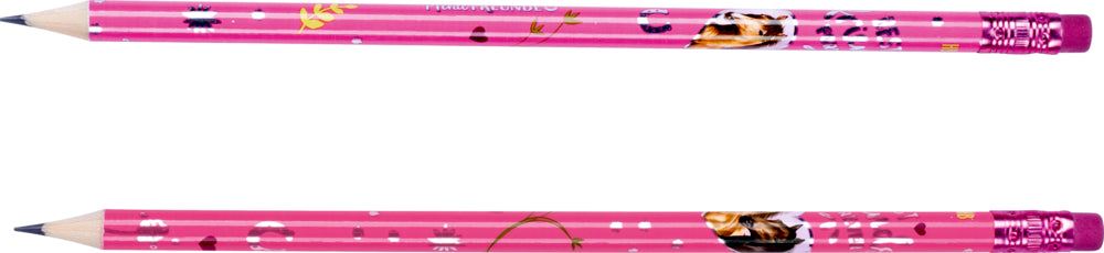 Bleistift-Set Best Friends