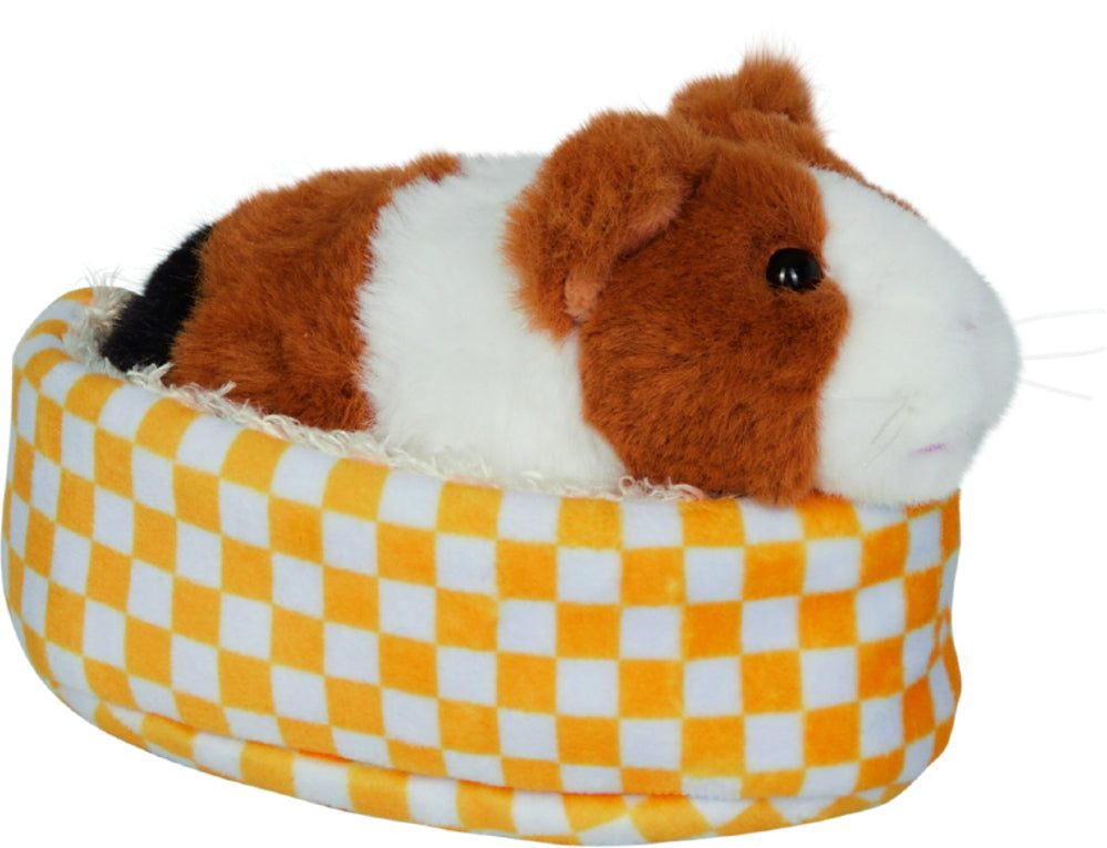 Meerschweinchen Lola
