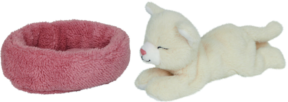 Schlafende Katze Penny im Korb