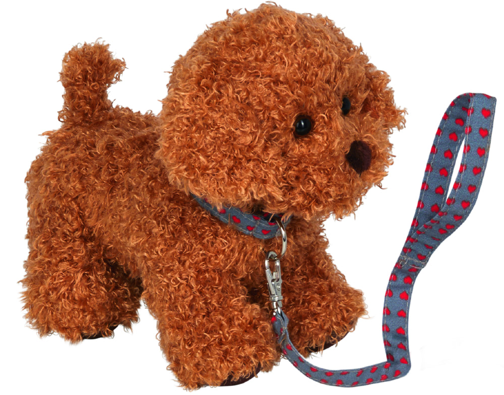 Pudel Sammy mit Leine