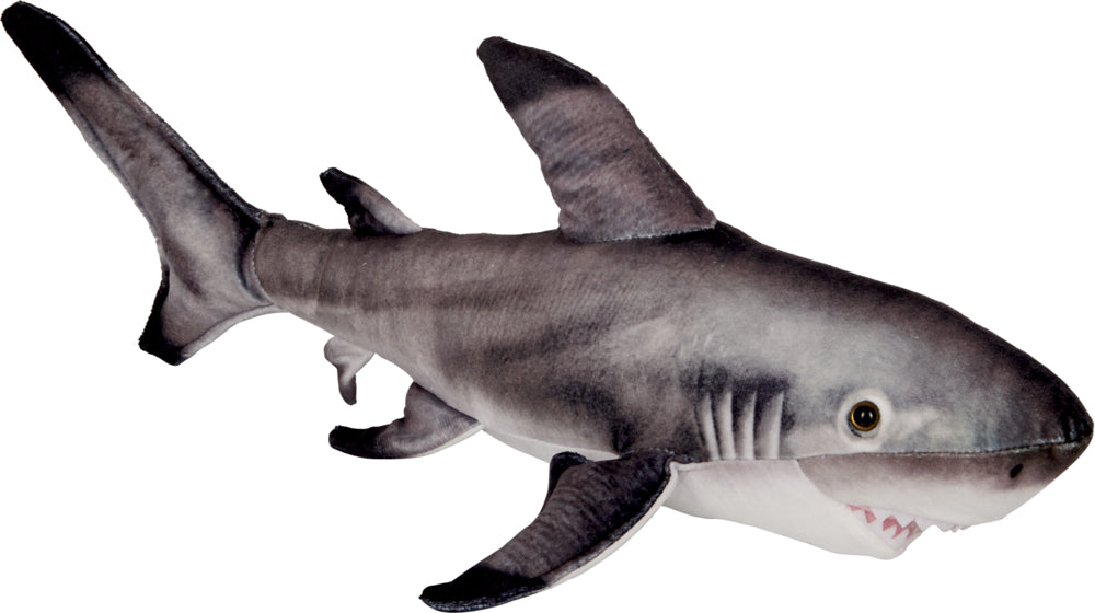 Schwarzspitzen-Riffhai - Nature Zoo