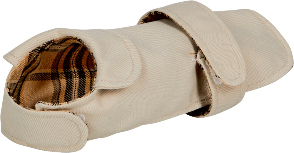 Dackel Watson mit Mantel