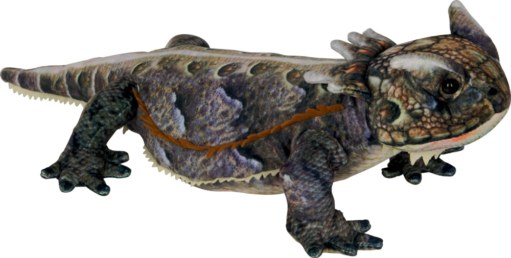 Horneidechse - Nature Zoom Wild