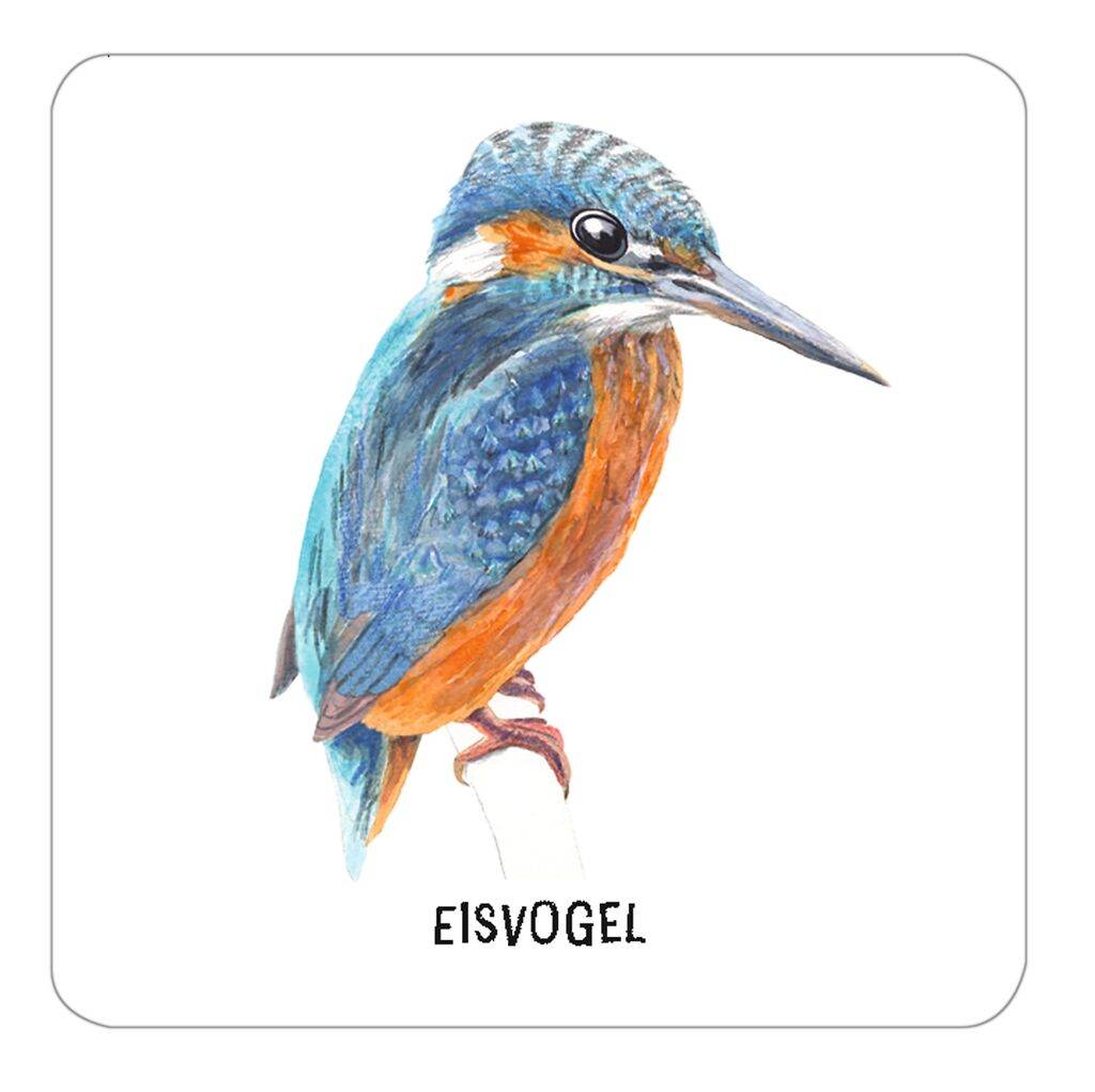 Das große Vogel Memo - Wer findet die meisten Paare?