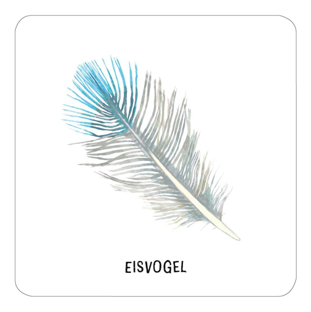 Das große Vogel Memo - Wer findet die meisten Paare?