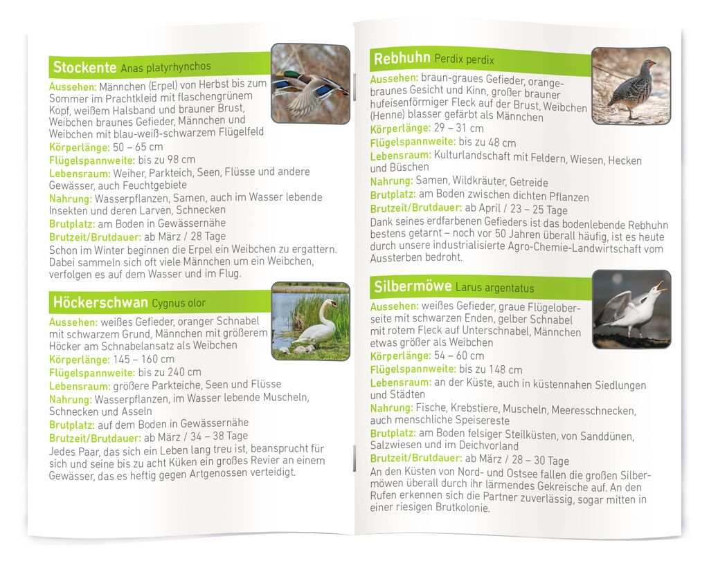 Diashow EXTRA- Unsere Vögel