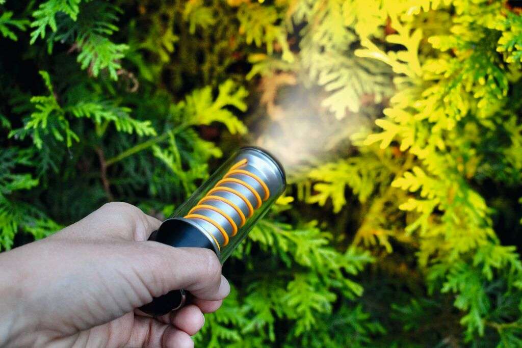 Expedition Natur: Outdoor Allroundlicht