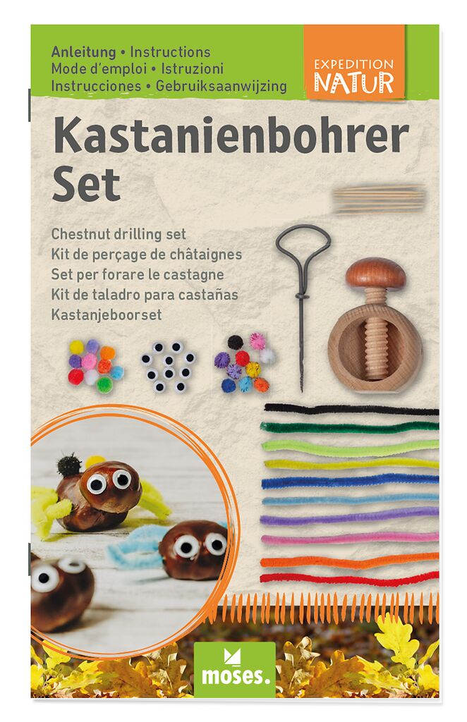Expedition Natur Kastanienbohrer
